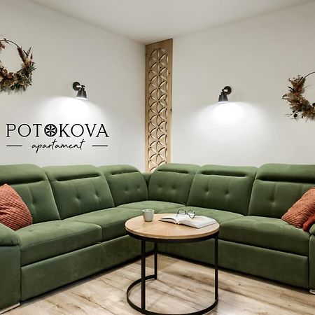 Potokova Apartament Centrum Ζακοπάνε Εξωτερικό φωτογραφία