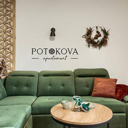 Potokova Apartament Centrum Ζακοπάνε Εξωτερικό φωτογραφία