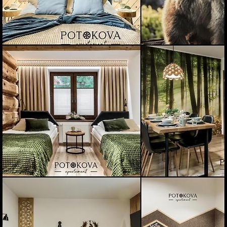 Potokova Apartament Centrum Ζακοπάνε Εξωτερικό φωτογραφία