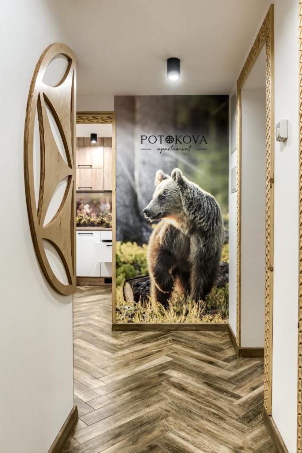 Potokova Apartament Centrum Ζακοπάνε Εξωτερικό φωτογραφία