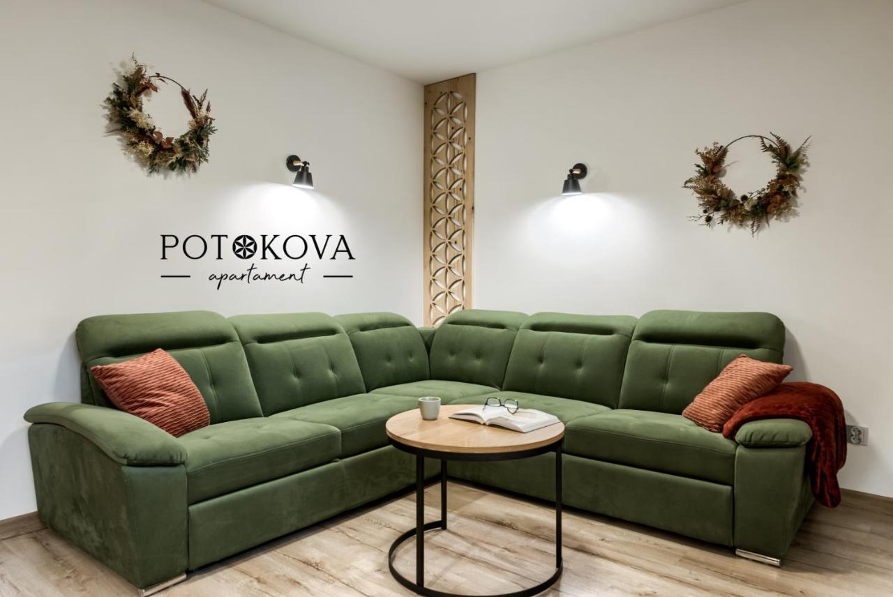 Potokova Apartament Centrum Ζακοπάνε Εξωτερικό φωτογραφία