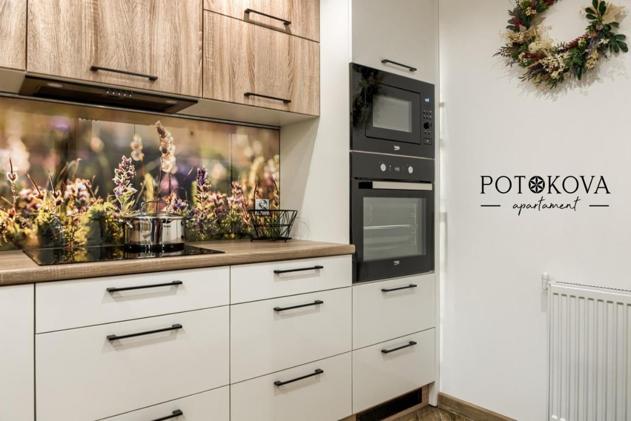 Potokova Apartament Centrum Ζακοπάνε Εξωτερικό φωτογραφία