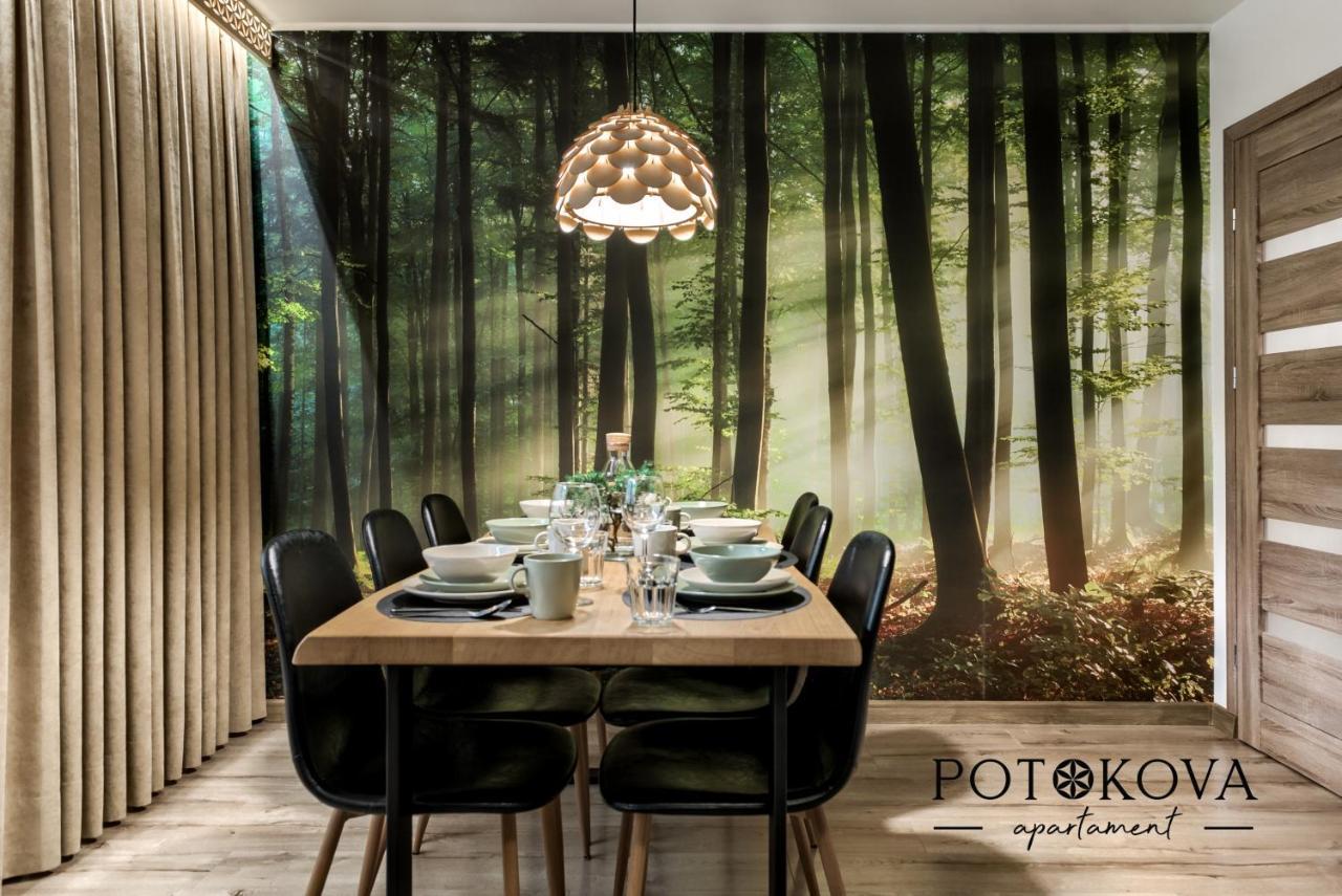 Potokova Apartament Centrum Ζακοπάνε Εξωτερικό φωτογραφία