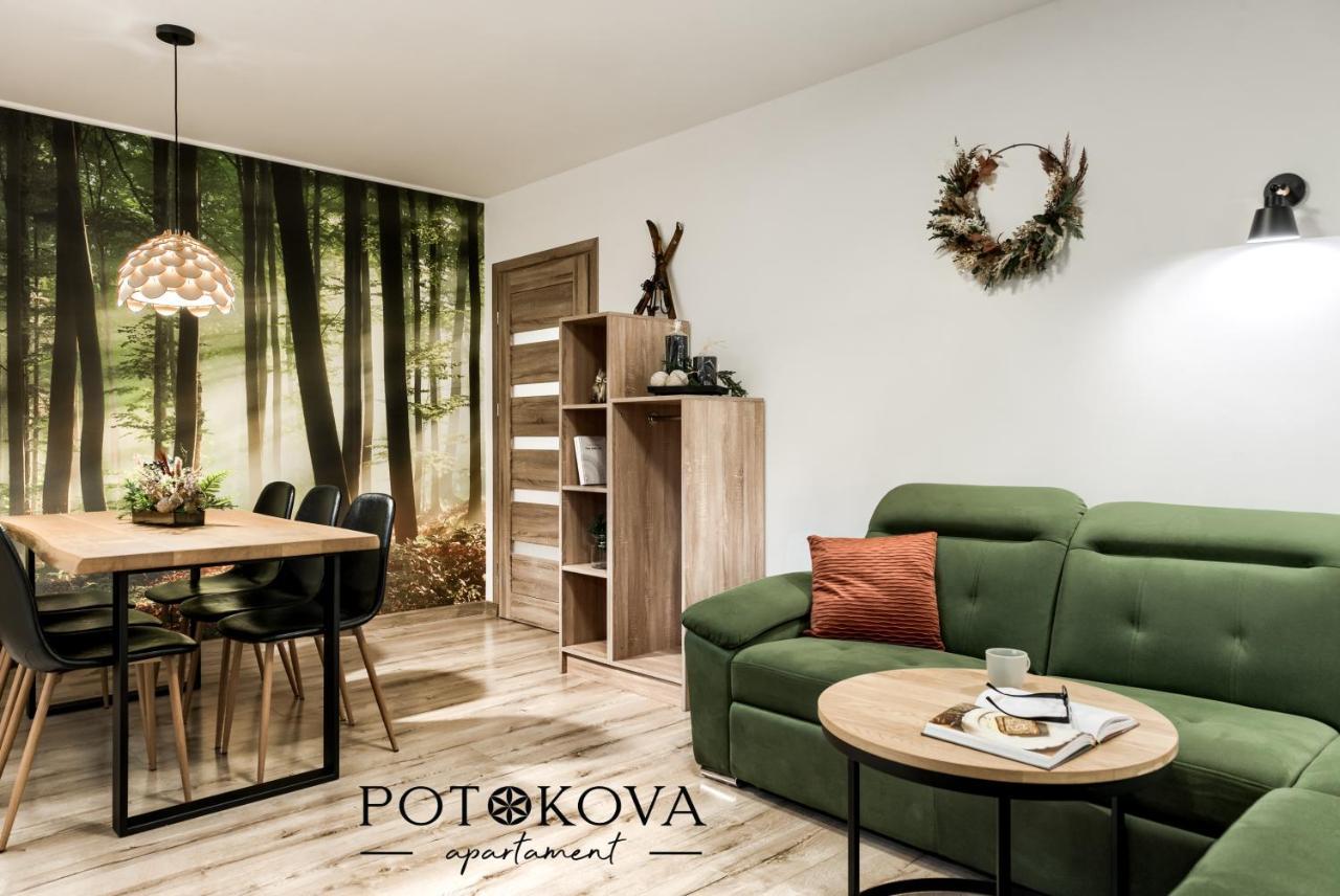 Potokova Apartament Centrum Ζακοπάνε Εξωτερικό φωτογραφία