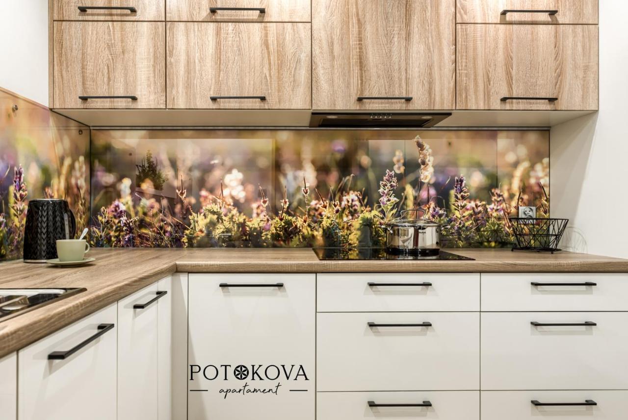 Potokova Apartament Centrum Ζακοπάνε Εξωτερικό φωτογραφία